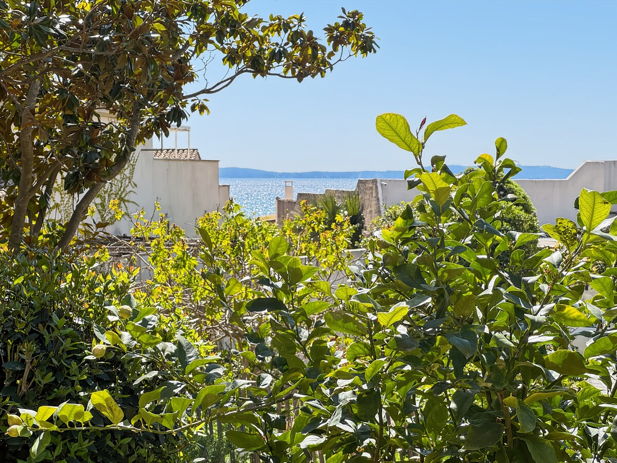Calypso ★ 80 m de la plage via un chemin privé - Jusqu'à 6 personnes.