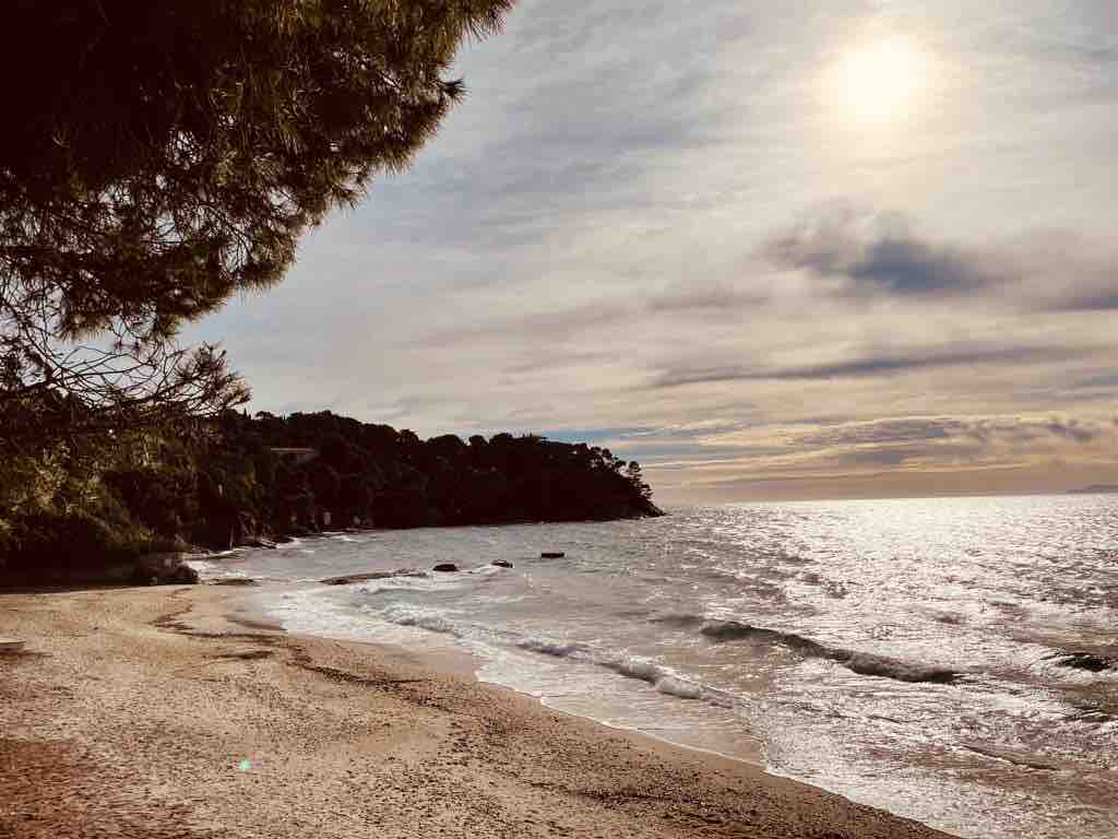 Mazet à 80m de la plage via chemin privé